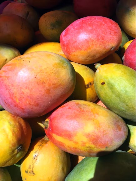 Mangoes